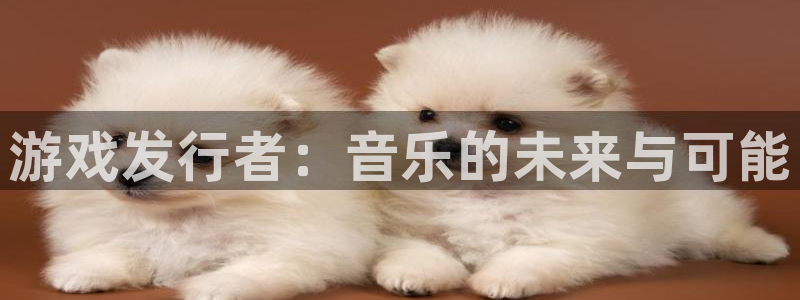 东莞非凡游戏官网信息科技有限公司：游戏发行者：音乐的未来与可能