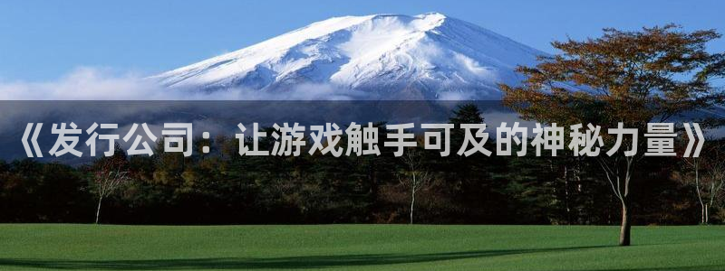 非凡游戏官网子文化