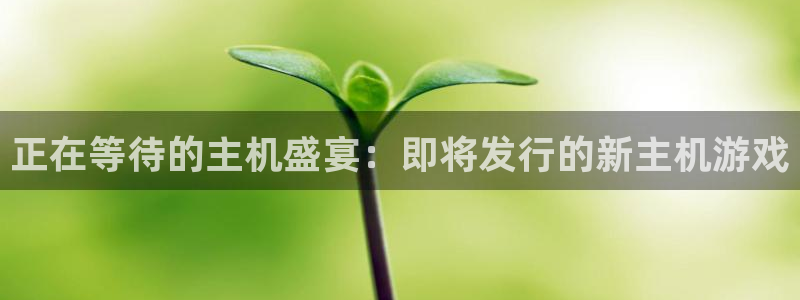 非凡游戏官网子怎么样