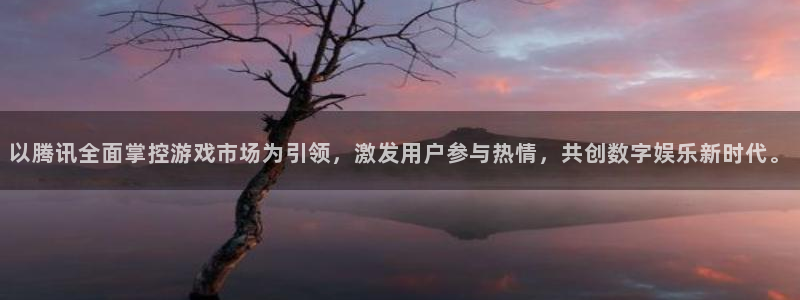 广州非凡游戏官网网络科技有限公司：以腾讯全面掌控游戏市场为引领，激发用户参与热情，共创数字娱乐新时代。