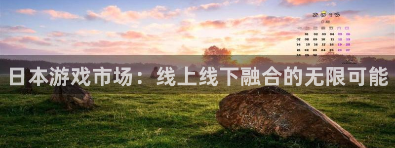 非凡游戏注册登录不了：日本游戏市场：线上线下融合的无限可能