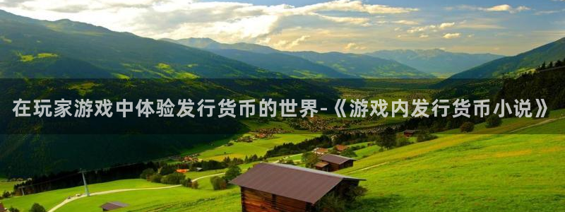 陕西非凡游戏官网子文化公司加我qq：在玩家游戏中体验发行货币的世界-《游戏内发行货币小说》