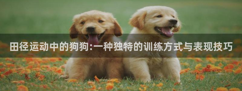 oety欧亿
