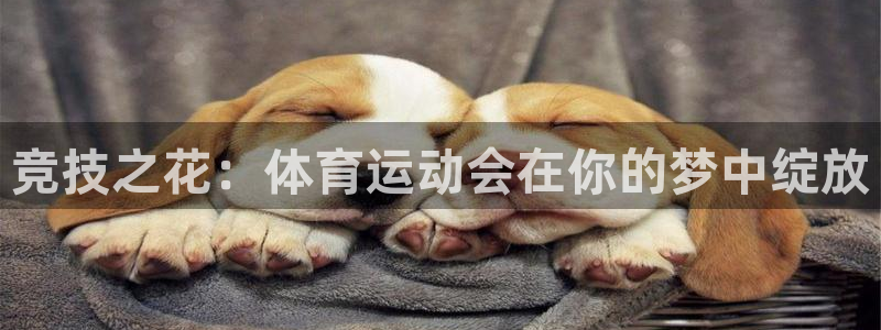 oety欧亿：竞技之花：体育运动会在你的梦中绽放