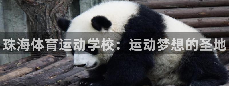 oety欧亿：珠海体育运动学校：运动梦想的圣地