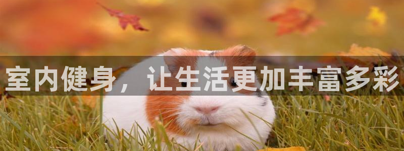 oety欧亿：室内健身，让生活更加丰富多彩