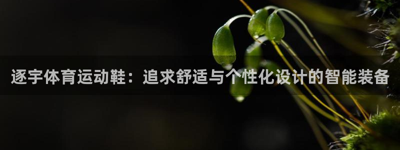 oety欧亿