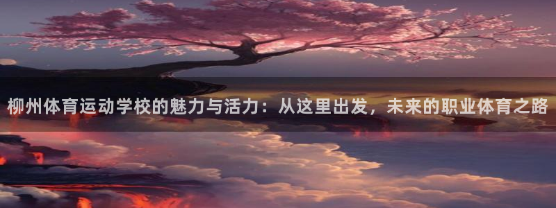 oety欧亿：柳州体育运动学校的魅力与活力：从这里出发，未来的职业体育之路