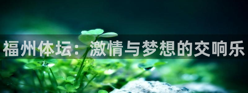 oety欧亿：福州体坛：激情与梦想的交响乐