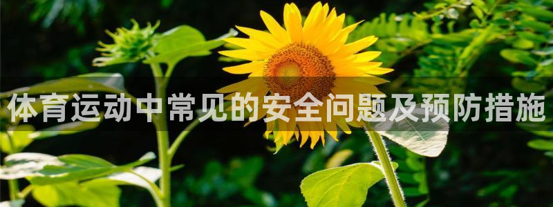 oety欧亿：体育运动中常见的安全问题及预防措施