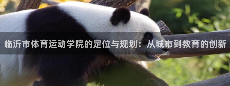 oety欧亿：临沂市体育运动学院的定位与规划：从城市到教育的创新