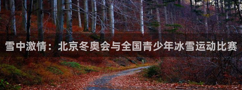 oety欧亿：雪中激情：北京冬奥会与全国青少年冰雪运动比赛
